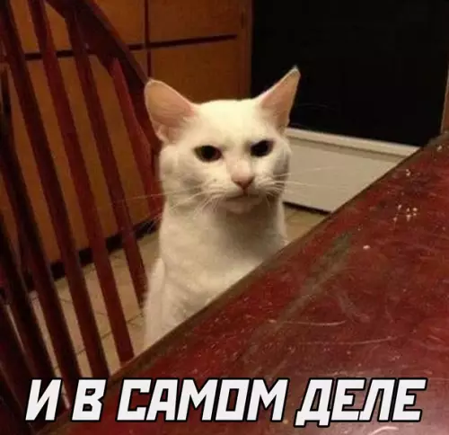 продолжение Смешная картинка №620480