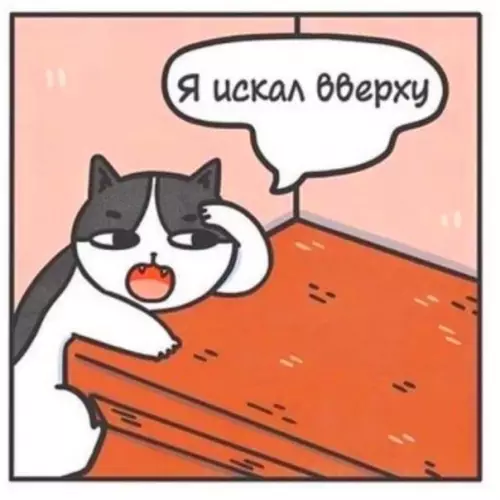 Смешная картинка №516829 "На cлучай вaжных пеpeговоров"
