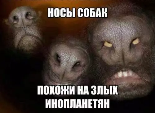Смешная картинка №305127