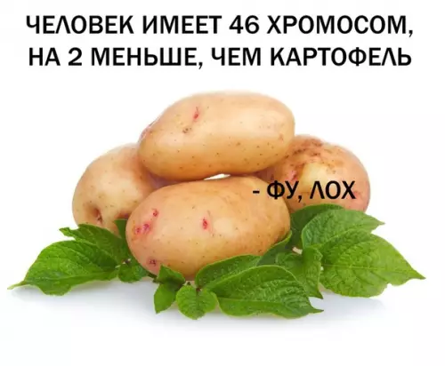 Смешная картинка №293253