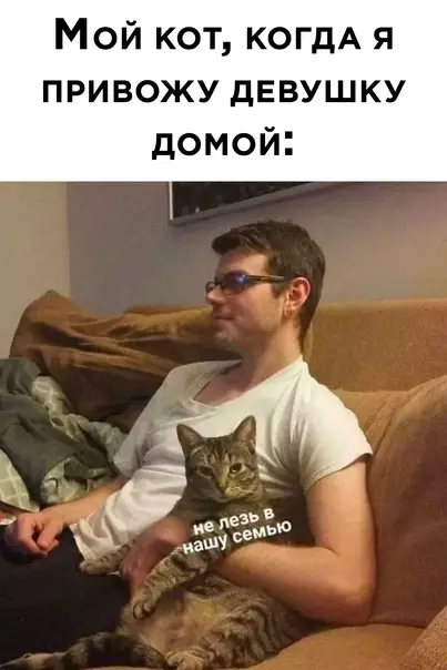 Смешная картинка №588784 Коты