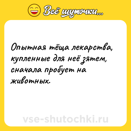 Шутка: Опытная тёща лекарства, купленные для неё зятем, сначала пробует на животных.