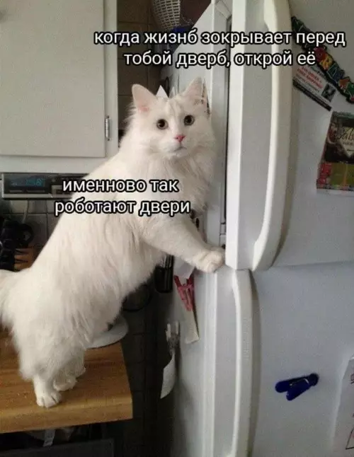 Когда жизнь закрывает двери