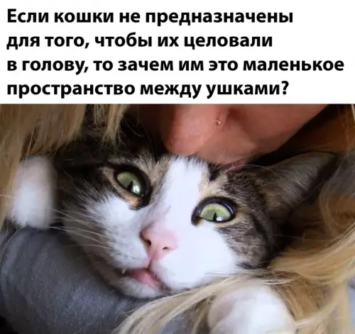Смешная картинка №658886