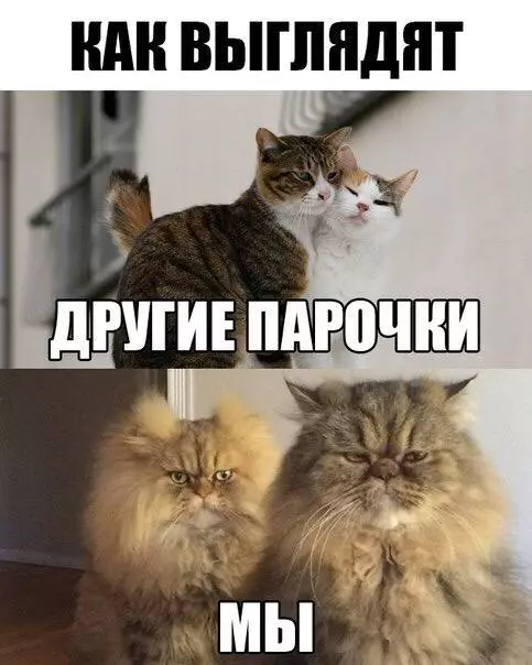 Смешная картинка №186042