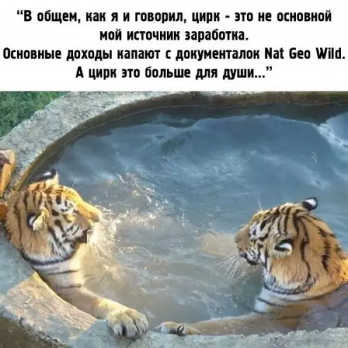 Смешная картинка №657327