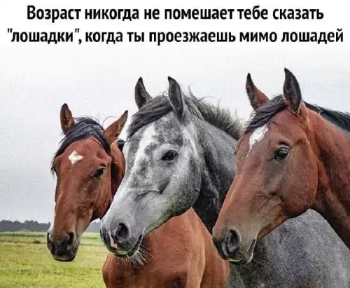 Смешная картинка №680630