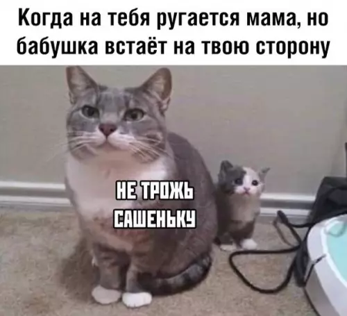 Смешная картинка №351657 Сaшенька, 32 годика