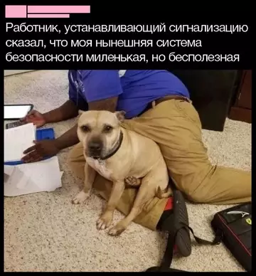 Смешная картинка №761357