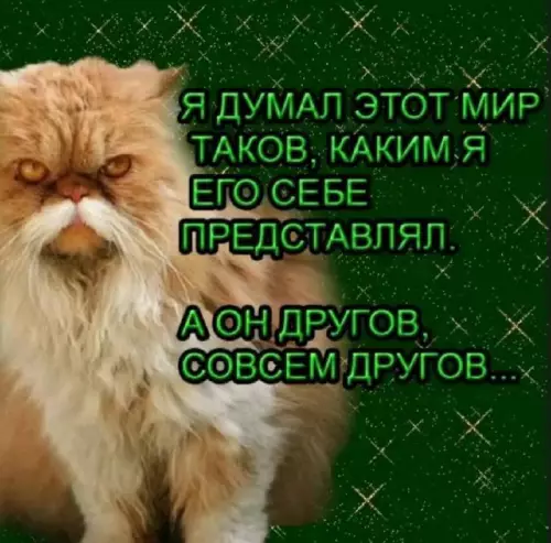 Смешная картинка №714843