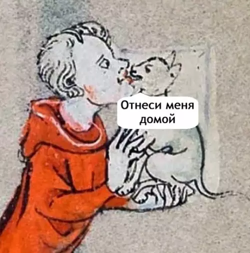 продолжение Смешная картинка №759259 Позови кота с собой...