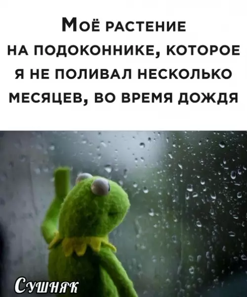 Смешная картинка №491202