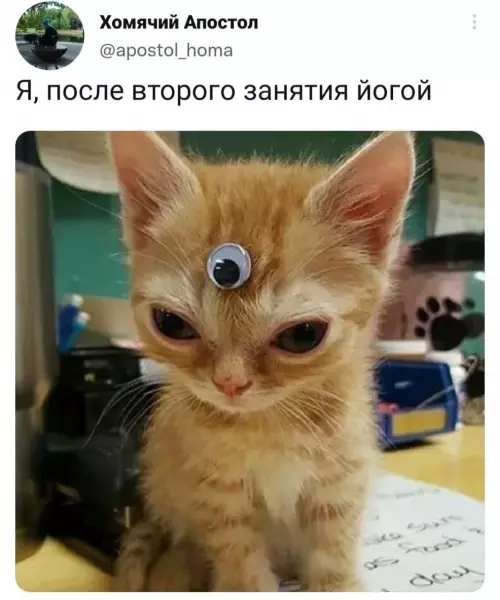 Смешная картинка №798093