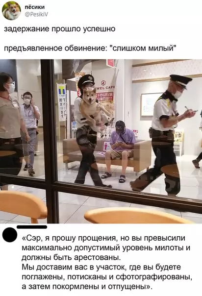 Смешная картинка №536990 - Но на первый раз прощается, впредь будьте осторожней.