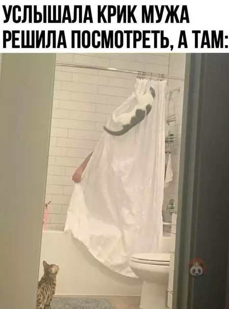 Смешная картинка №549543 Чип и Дейл спешат на помощь! ?