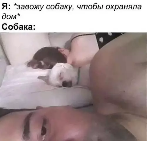 Смешная картинка №468811 Словно рeбенок:3