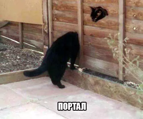 Смешная картинка №203738