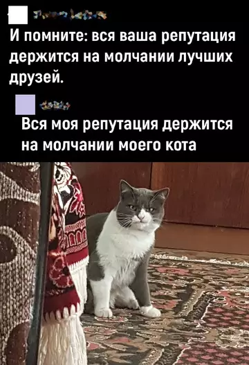 Смешная картинка №775636