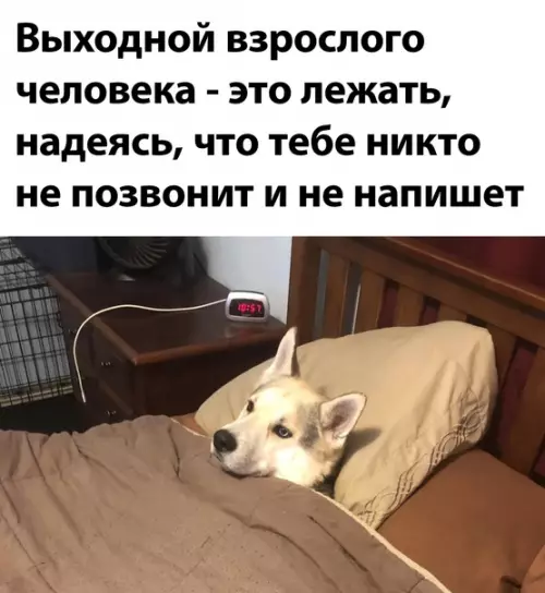 Смешная картинка №601312