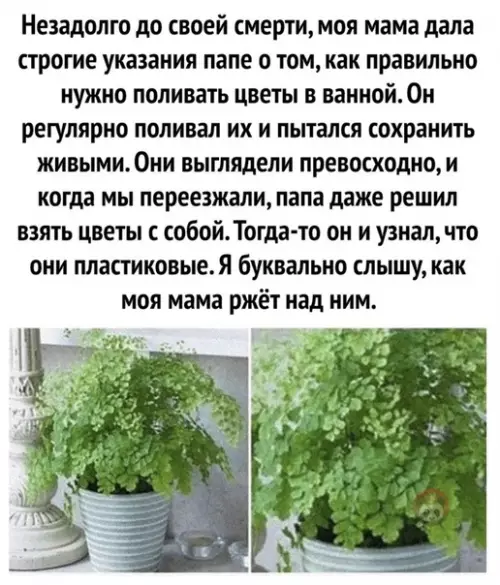 Смешная картинка №509427 Мама-то тем еще троллем была ?