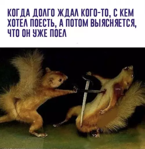 Смешная картинка №235548