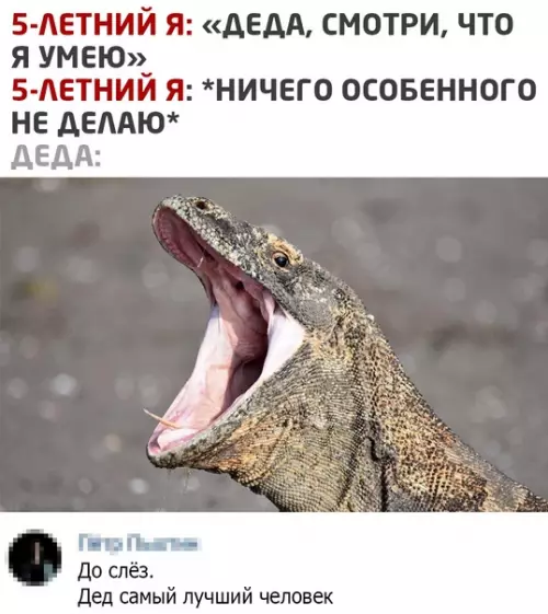 Смешная картинка №534991