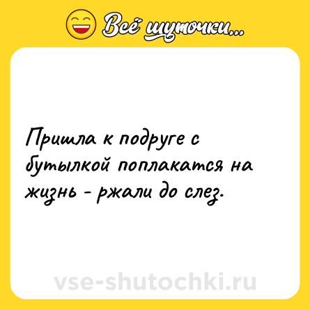Шутка: Пришла к подруге с бутылкой поплакатся на жизнь - ржали до слез.