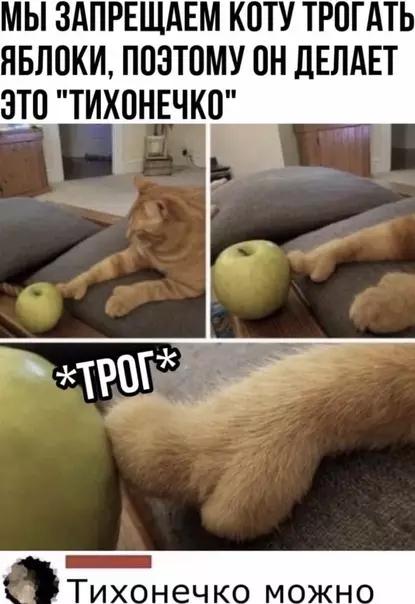 Смешная картинка №570698