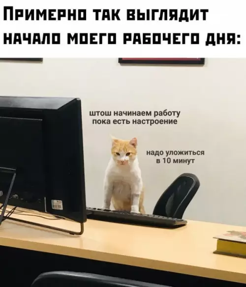 Смешная картинка №652889