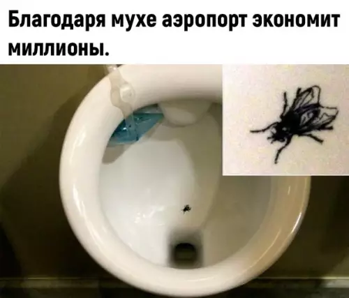 продолжение Смешная картинка №594307 Гениальное просто!