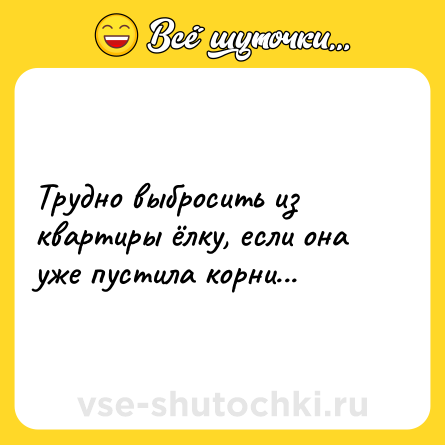 Шутка: Трудно выбросить из квартиры ёлку, если она уже пустила корни...