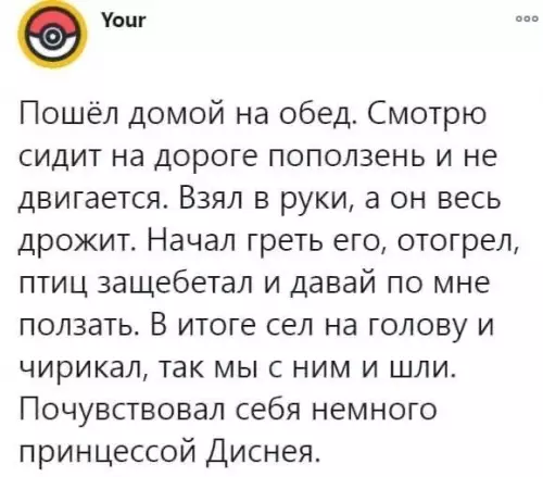 Смешная картинка №533365 Этo чepecчyp милo
