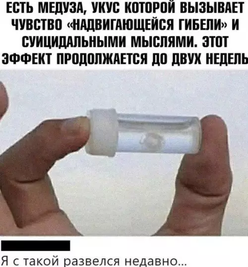 Смешная картинка №502787
