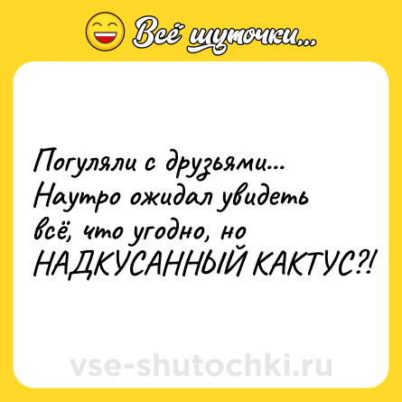 Шутка: Погуляли с друзьями... Наутро ожидал увидеть всё, что угодно, но НАДКУСАННЫЙ КАКТУС?!