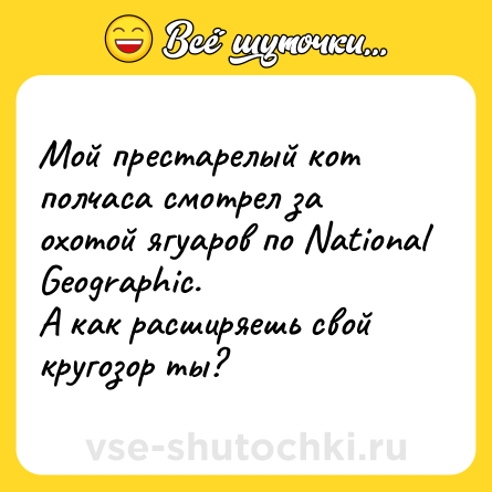 Шутка: Мой престарелый кот полчаса смотрел за охотой ягуаров по National Geographic. <br>А как расширяешь свой кругозор ты?