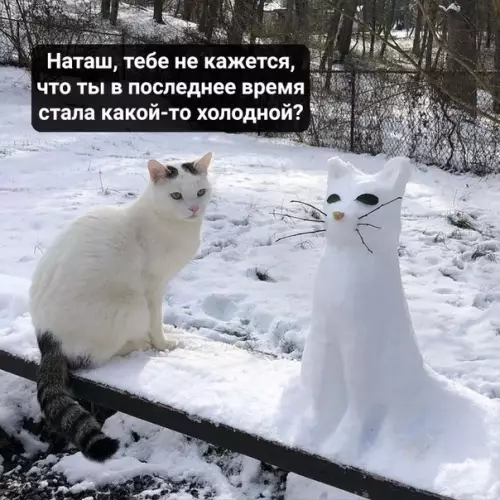 Смешная картинка №474167 Когда столкнулся с суровой реальностью жизни