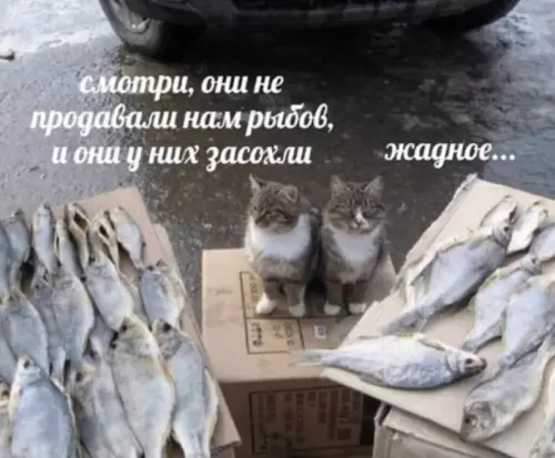 Смешная картинка №606253