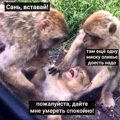 Смешная картинка №437082 Шло 3 января...