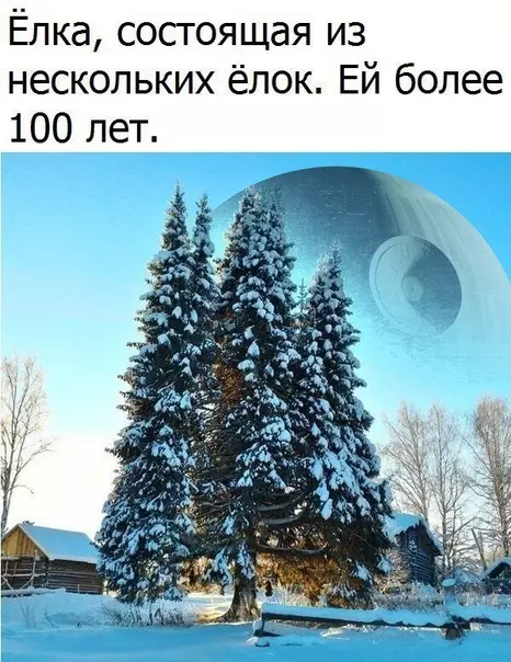 Смешная картинка №318162