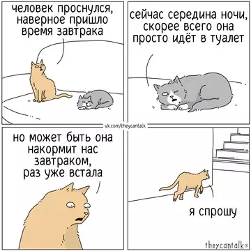 Смешная картинка №760987