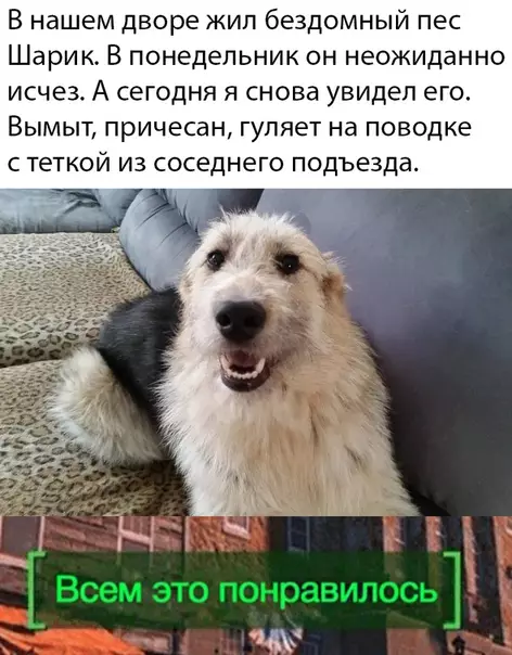 Смешная картинка №482259