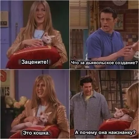 Смешная картинка №209364