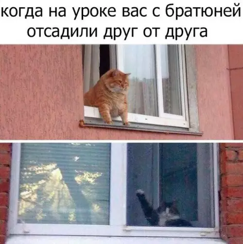 Смешная картинка №217400
