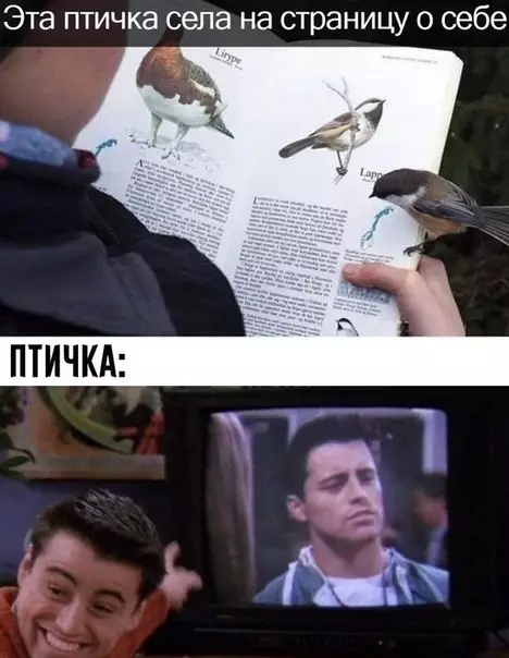 Смешная картинка №493391