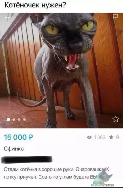 Смешная картинка №325058