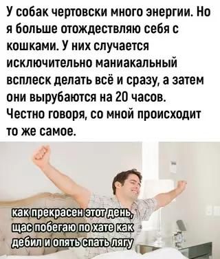 Смешная картинка №706670