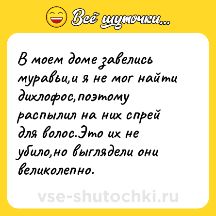 Шутка: В моем доме завелись муравьи,и я не мог найти дихлофос,поэтому распылил на них спрей для волос.Это их не убило,но выглядели они великолепно.
