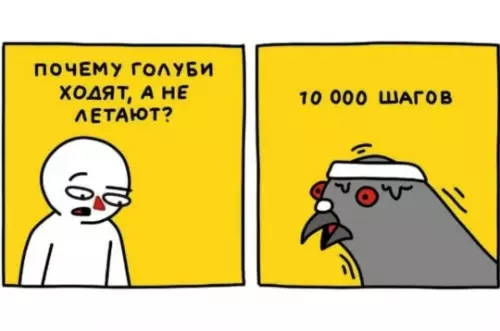 Почему голуби не летают?