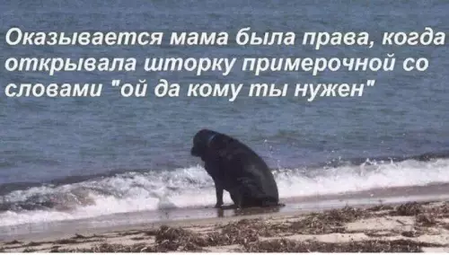 Смешная картинка №724065