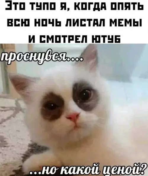 Смешная картинка №555952